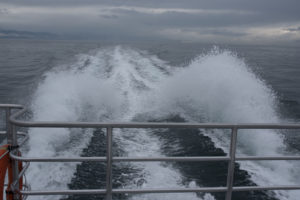 Victoria Website-606