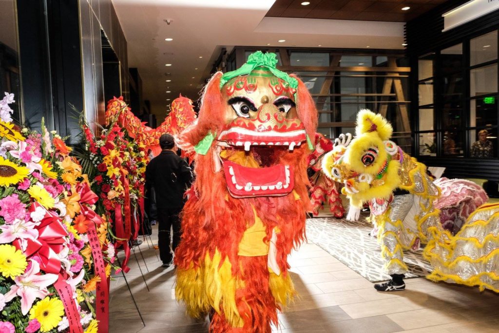 Lion Dance Costumes_Grand opening
