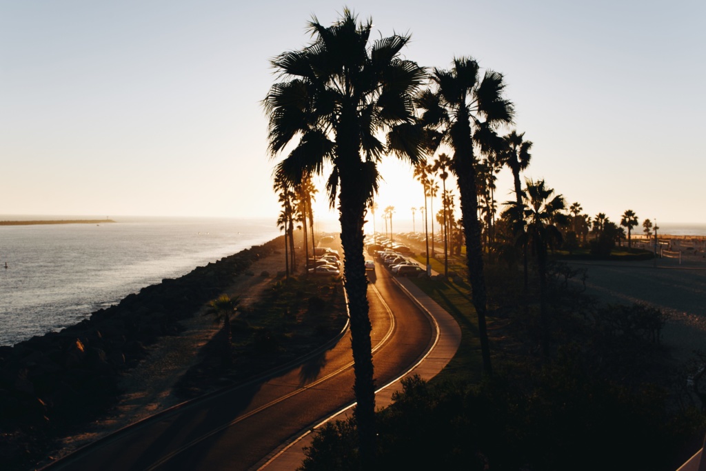 matthew-hamilton-144803-unsplash-min